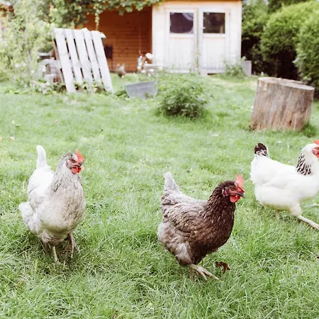 Lägenhet Bei Den Hartmanns Rieden